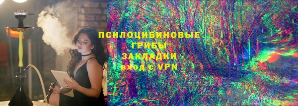 соль ск Алексин